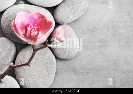 Spa stones and pink orchid on the grey background. Stock Photo
