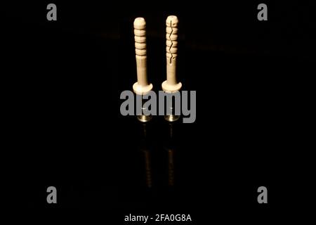 Two wall dowel pin with screw isolated on black with reflections Stock Photo