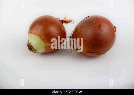 Two onions isolated on white background Stock Photo