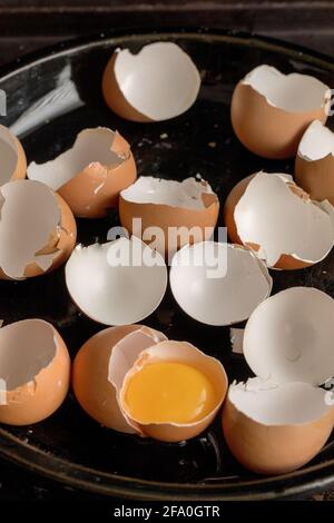 broken eggs on a platter, empty egg shells, one yellow egg yolk still in the half shell Stock Photo