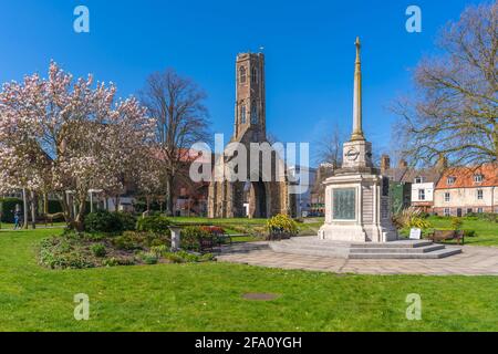 View of Greyfriars Tower, war memorial and spring blossom in Tower Gardens, King's Lynn, Norfolk, England, United Kingdom, Europe Stock Photo