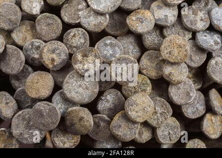Close-up of pile of dirty galvanized steel nailheads Stock Photo