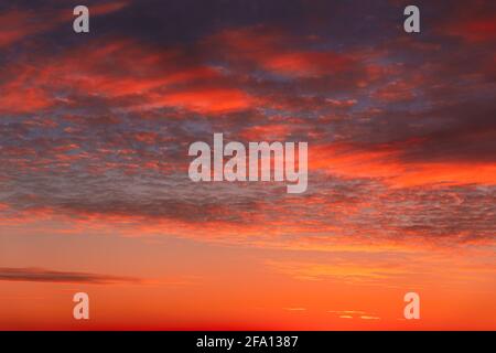 Sunset Cloudy Sky With Clouds. Sunset Sky Natural Background. Dramatic Sky. Sunset In Yellow, Orange, Pink Colors Stock Photo