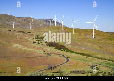 Windy Point and Flats clean energy wind farm in Southern Washington State adjacent to the Columbia Gorge above the winding Maryhill Loops Road Stock Photo