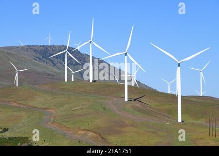 Windy Point and Flats clean energy wind farm in Washington State adjacent to the Columbia Gorge acting as a piece of the Climate Change solution Stock Photo