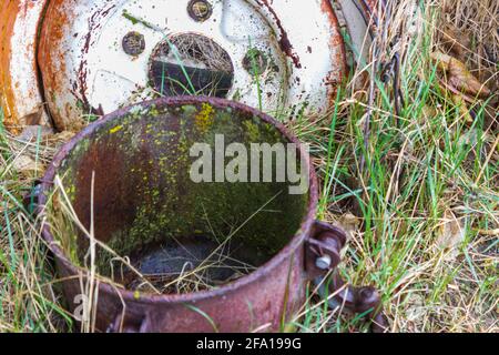 The canister from an antique paint sprayer, a metal rim and a roll of old wire protrude from spring rain dampened green grass. Stock Photo
