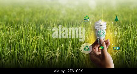 Team Business energy use, sustainability Elements energy sources sustainable Ecology bio alternative man care and clean concept Stock Photo