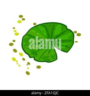 Lily pad isolated on white background. Lotus leaf logo design.Cartoon water lilypad.Lilies plant icon.Nature, forest and wild life.Vector illustration Stock Vector