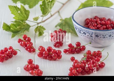 Red currants on a white wooden table and in a blue and white decorated porcelain bowl, decorated with currants branches Stock Photo