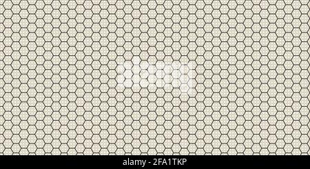 White Luxury Hexagon background Stock Vector