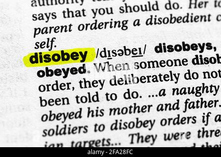 Highlighted word disobey concept and meaning Stock Photo - Alamy