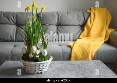 Easter yellow flowers composition at home interior with grey couch in living room. Domestic life. Beautiful DIY flowers composition. Stock Photo