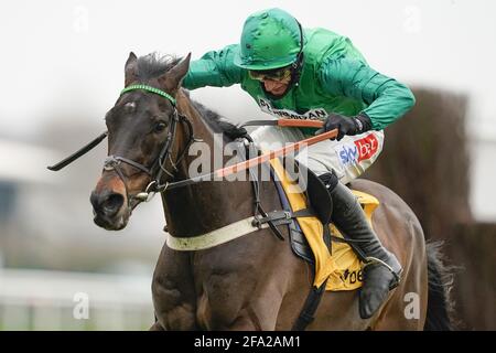 File photo dated 21-02-2021 of Sceau Royal ridden by jockey Daryl Jacob. Picture date: Sunday February 21, 2021. Issue date: Issue date: Thursday April 22, 2021. Stock Photo