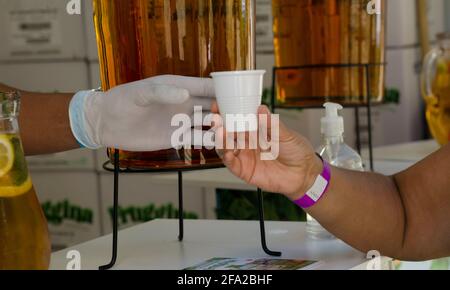serving apple and lemon juice in plastic cup, hands passing the glass of juice with glass jug and latex gloves with feeding protocols Stock Photo