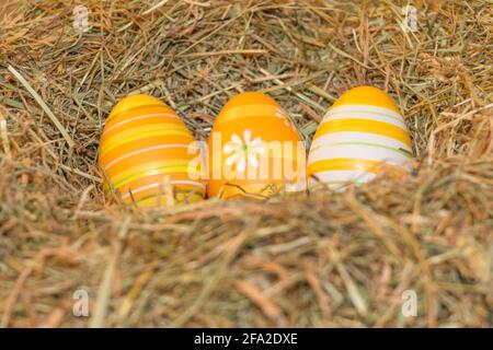 Easternest basket tradition yellow hidden easter eggs to search. Traditional easter holiday festival celebration with three orange eggs in hay straw. Stock Photo