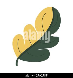 Two-tone oak oblong leaf half yellow half green, floral decor element in doodle style, hand draw Stock Vector
