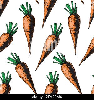 Seamless pattern with carrots on white background. Vector illustration. Stock Vector