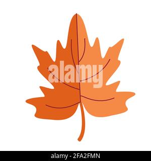 Bright orange maple leaf, floral decor element in doodle style, hand draw Stock Vector