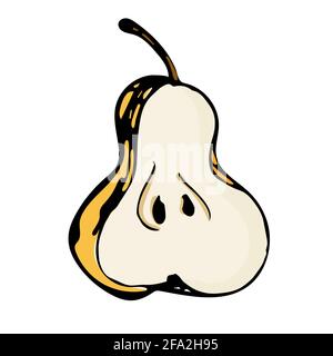 Hand drawn pear illustration isolated on white background. Stock Vector