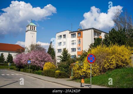 PoznaÅ, Wielkopolska, Poland. 22nd Apr, 2021. 21.04.2021. Spring in the city. Credit: Dawid Tatarkiewicz/ZUMA Wire/Alamy Live News Stock Photo