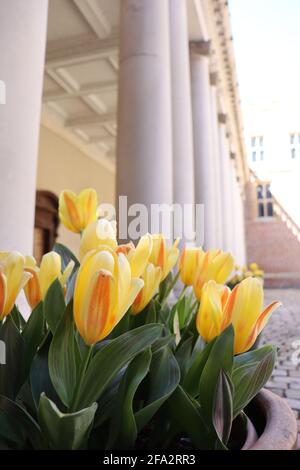 Hampton Court palace Stock Photo