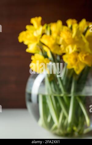 Blurry soft focus daffodils on table in vase with dark wood background. Stock Photo