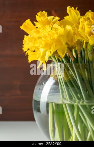Bunch of yellow daffodils in round glass vase on table with dark wood background Stock Photo