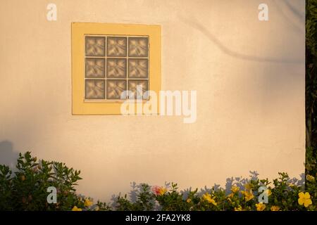 Tree's shadow on a windowed building wall Stock Photo