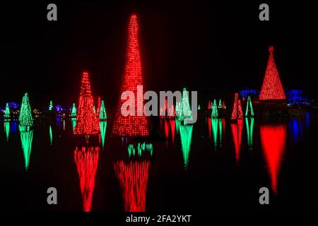 Orlando, Florida. November 20, 2020. Christmas trees reflecting in lake at Seworld (39) Stock Photo