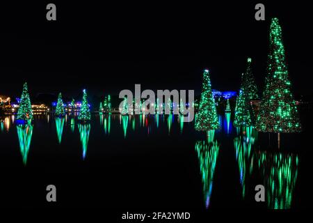 Orlando, Florida. November 20, 2020. Christmas trees reflecting in lake at Seworld (43) Stock Photo