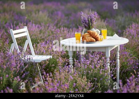 White wooden table served with fresh delicious croissants, glass of orange juice, honey jar with wooden spoon and vase with lavender bouquet and chair. Amazing decoration in blooming lavender field. Stock Photo