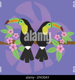 A cute couple of keel billed toucans sitting together on a branch. Their backs touch. In the background are monstera leafs and pink blossom flowers. T Stock Vector