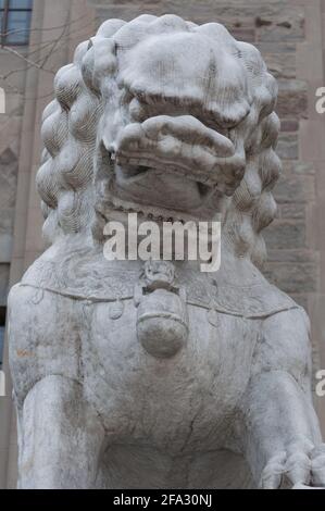 Royal Ontario Museum (Toronto) - Chinese guardian lion - front view of head Stock Photo