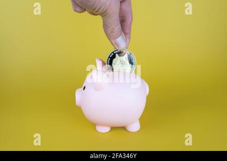 Man putting Dogecoin into a piggybank on yellow background. Single physical metal gold Doge coin cryptocurrency. Investment, saving, buying crypto con Stock Photo