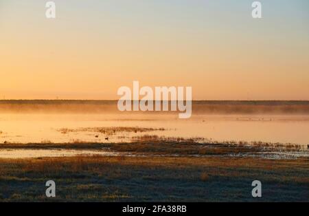 Gradient blue and orange sky during sunset above a calm lake and fields of grass Stock Photo