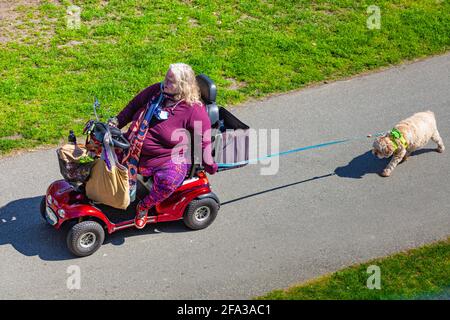 Older woman on an electric scooter taking her dog for a walk in Steveston British Columbia Canada Stock Photo