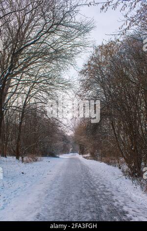 Winter landscape in Braunschweig, Lower Saxony, Germany. Snow covered Westpark on a cloudy winter day Stock Photo