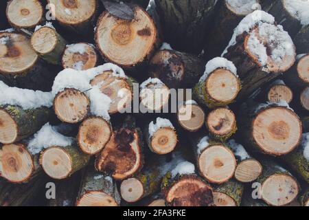 Stacked wood. Pile of small logs covered with snow. Tree trunks in forest during winter Stock Photo