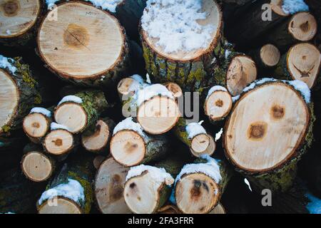 Stacked wood. Pile of small logs covered with snow. Tree trunks in forest during winter Stock Photo