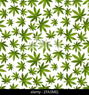 Green realistic marijuana leafs, medical cannabis detailed icons on the white, seamless pattern Stock Vector