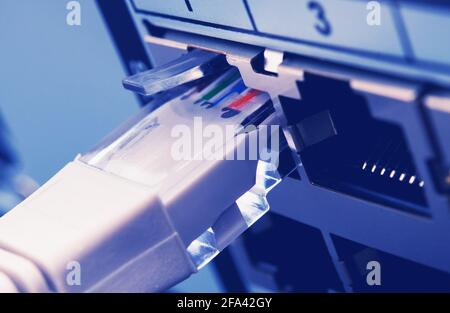 RJ 45 Network Cable Inserted Into Digital CCTV Recorder Server Machine Close Up. Modern Technology Theme. Stock Photo