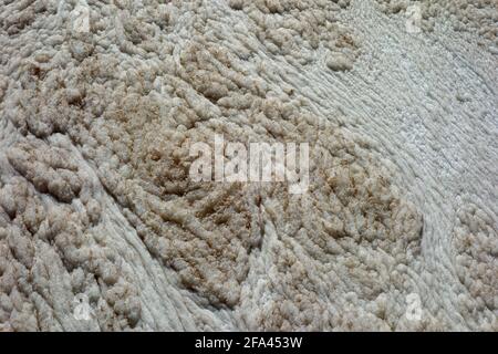 In lakes, reservoirs and ponds, foam collects along windward shores or may form long, evenly-spaced lines, called 'windrows', in open water areas resu Stock Photo