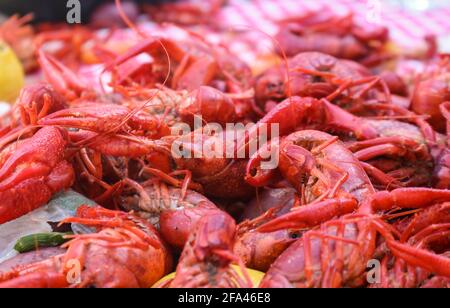 Crawfish boil - cooked seafood and vegetables piled on a red and white checked tablecloth Stock Photo