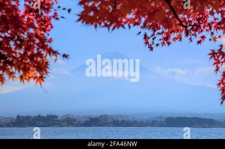 Hazy daytime view of Mount Fuji and Lake Kawaguchi, framed by red maple leaves and under a blue sky Stock Photo