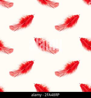 Red bird feather repeat seamless pattern on light background. Stock Photo