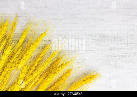 Bright yellow wheat stems bunch on light gray wooden background with copy space. Stock Photo
