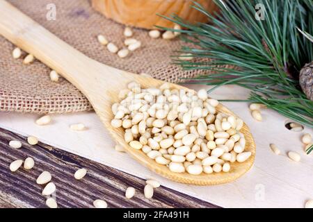 Fresh peeled pine nuts in the spoon with green coniferous branches on light wooden background. Stock Photo