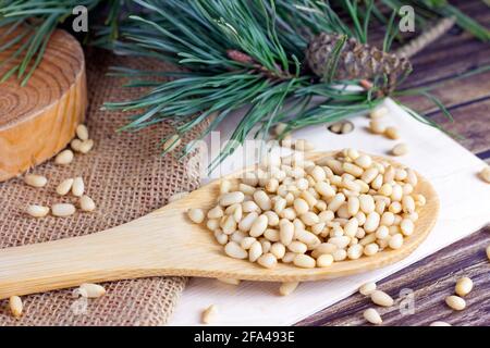 Fresh peeled pine nuts in the spoon with green coniferous branches on light wooden background. Stock Photo