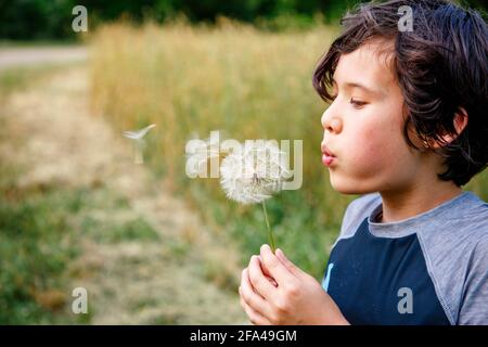 A boy in a grassy field blows giant dandelion seeds into the wind Stock Photo