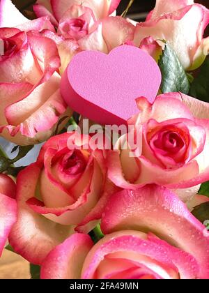 Pink heart on roses in dew Stock Photo